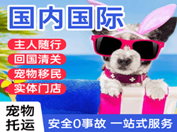 揭阳潮汕机场物流国际宠物托运 【国